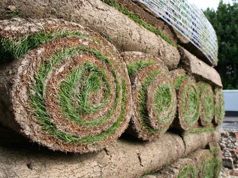 Rouleaux de gazon prêts à poser
